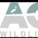 Aces Wildlife Rescue