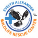 Wildlife Rescue Center of the Hamptons, Inc.
