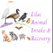 Lilac Animal Intake & Recovery